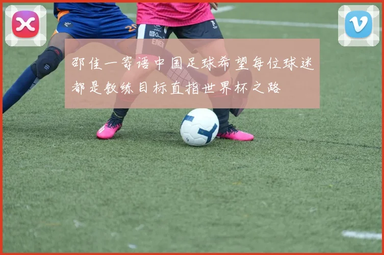邵佳一寄语中国足球希望每位球迷都是教练目标直指世界杯之路